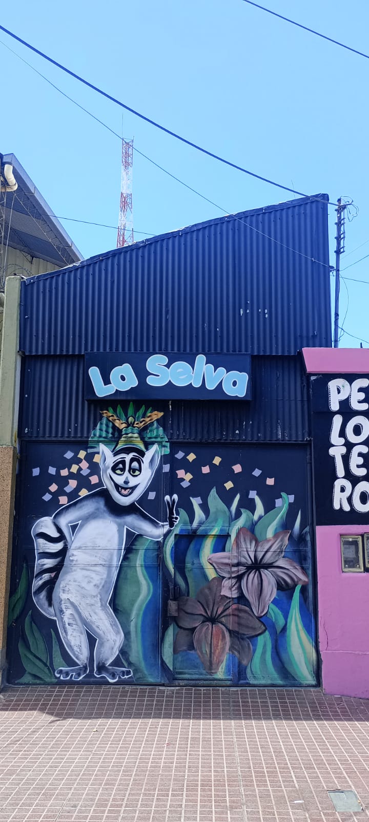 La Selva pelotero